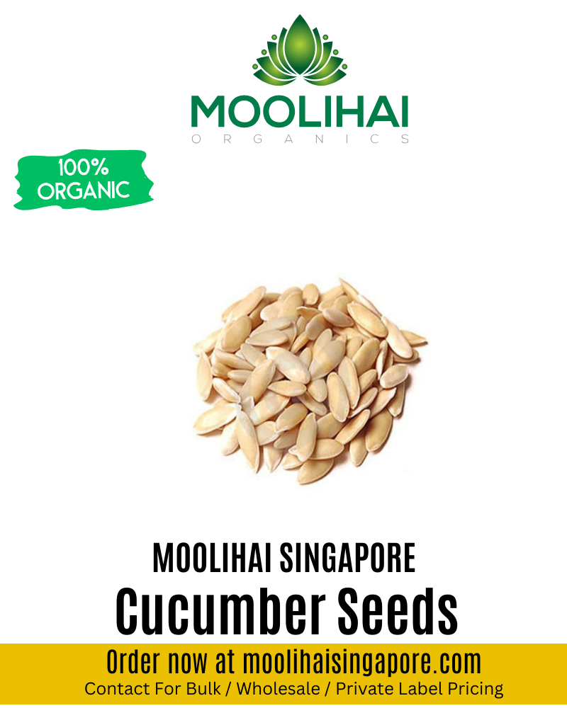 Organic Double Yield Cucumber Seeds