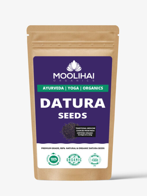 White Datura / Thorn Apple Seeds/ Oomatha Vidhai - Image 2