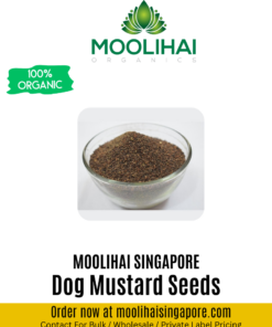 Dog Mustard / Traduzione Automatica