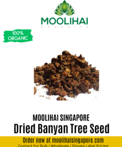 Dried Banyan Tree Seed / Aalam Vithai