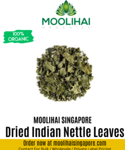Dried Indian Nettle Leaves / Kuppaimeni ilai