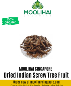 Dried Indian Screw Tree Fruit / Valampuri Kaai