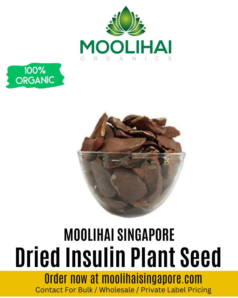 Dried Insulin Plant Seed / Thean Kaai