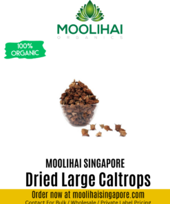 Dried Large Caltrops / Yanai Nerunjil