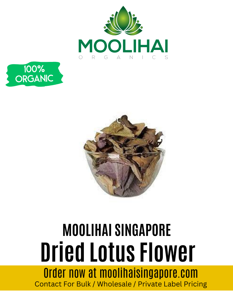 Dried Lotus Flower