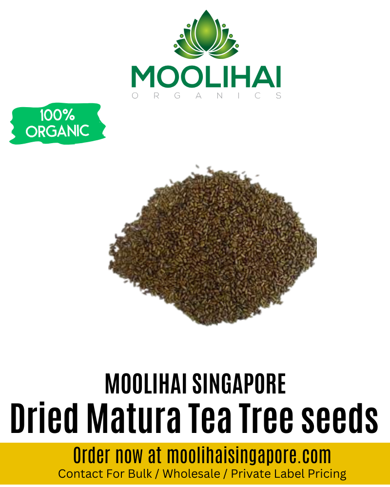 Dried Matura Tea Tree seeds / Aavarai Vithai