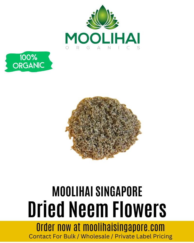 Natural Dried Neem Flowers