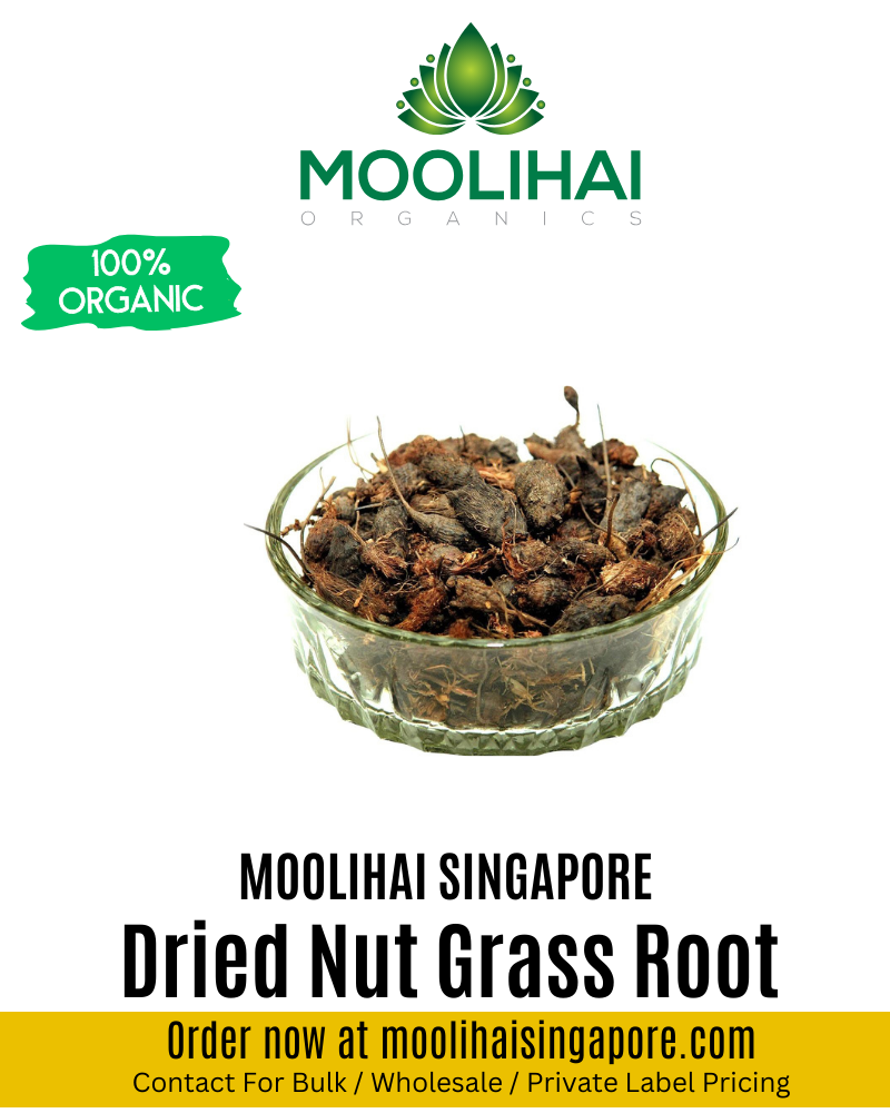 Dried Nut Grass Root / Korai Kilangu / Cyperus Rotundus