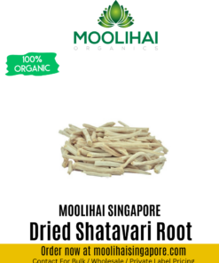 Dried Shatavari Root
