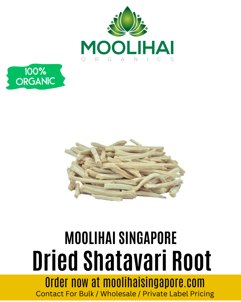 Dried Shatavari Root