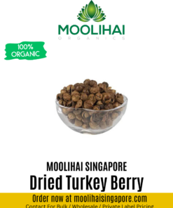 Dried Turkey Berry / Solanum Torvum