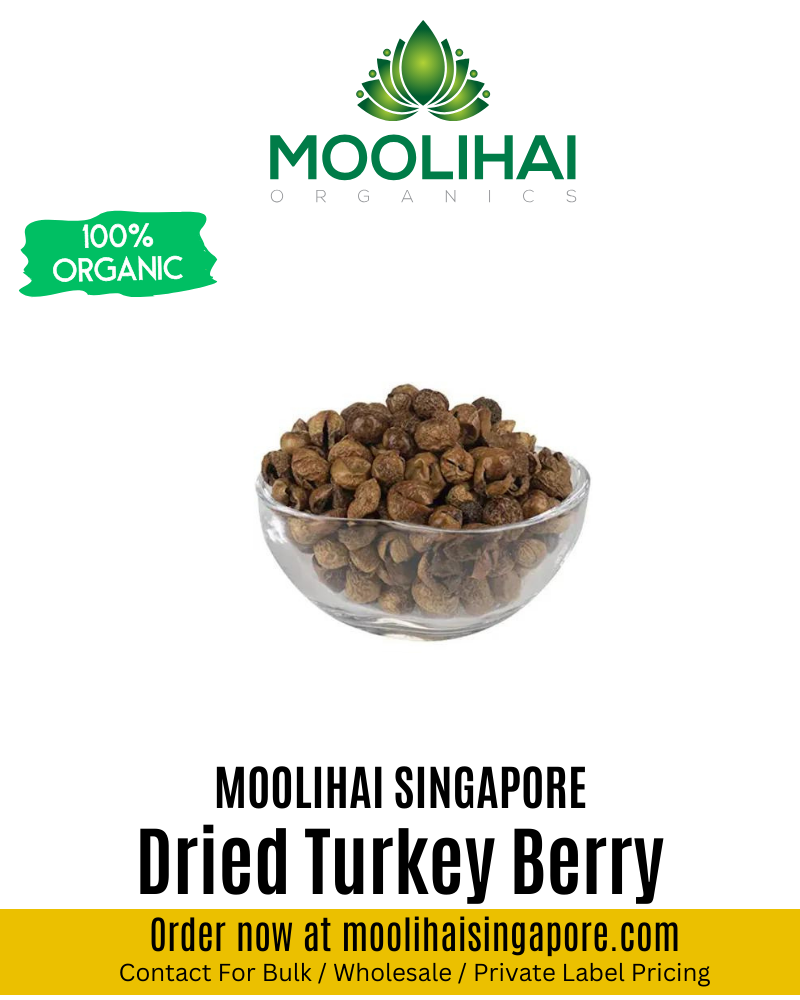 Dried Turkey Berry / Solanum Torvum