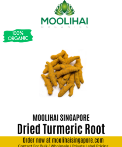 Dried Turmeric Root / Haldi