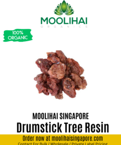 Drumstick Tree Resin / Murungai Pisin