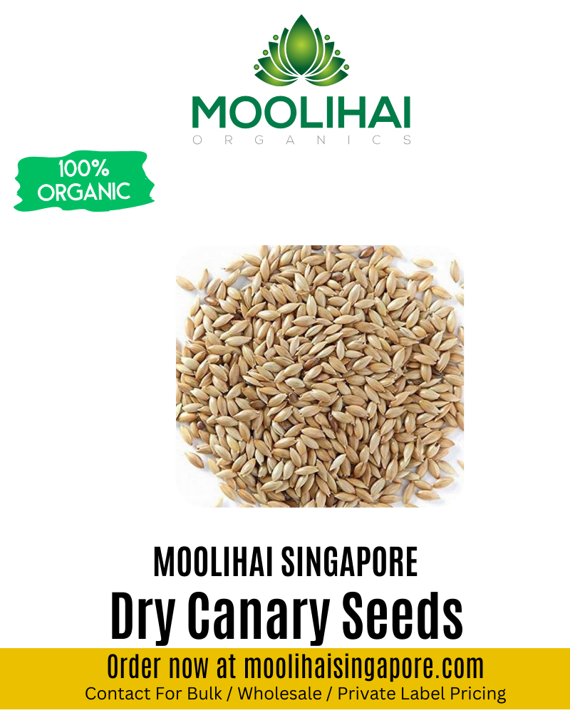 Dry Canary Seeds / Kattu Siraham