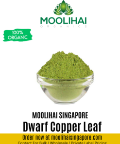 Dwarf Copper Leaf / Ponnanganni leaf Powder