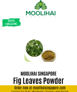 Fig Leaves Powder/ Aththi Ilai Podi