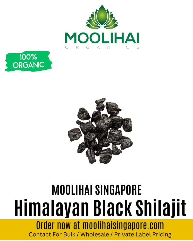 Himalayan Black Shilajit / Sila Sathu