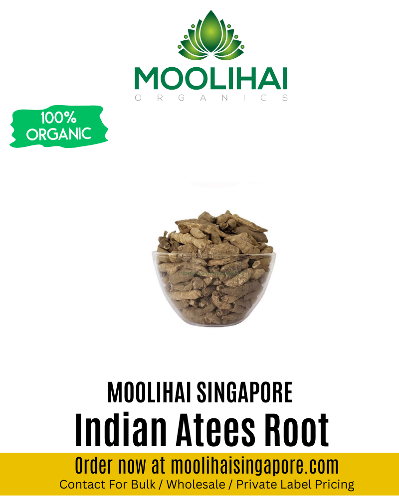 Indian Atees Root / Athividayam Ver