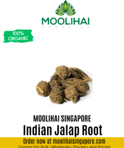 Indian Jalap Root / Civatai Ver