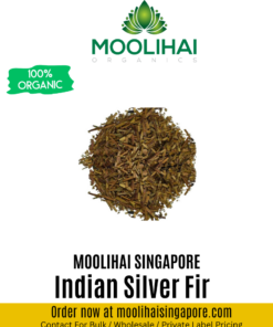 Indian Silver Fir  / Thalisapathiri