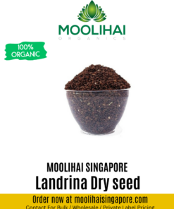 Nathai Choori Vithai / Landrina Dry seed