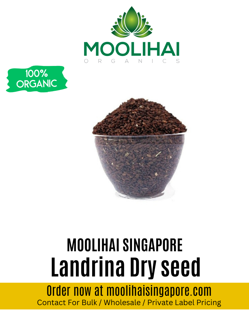 Nathai Choori Vithai / Landrina Dry seed