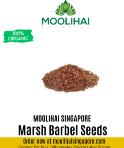 Marsh Barbel Seeds / Neermulli Vithai
