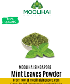 Mint Leaves Powder