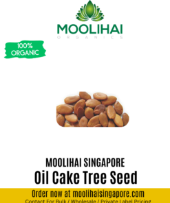 Oil Cake Tree Seed / Hatiamiuki / Uchilamaram