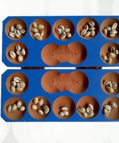 Pallanguzhi – Box model