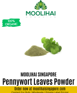 Pennywort Leaves Powder