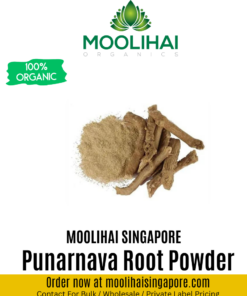Punarnava Root /Saranai Ver Powder