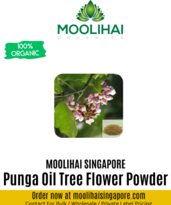 Punga Poo / Punga Oil Tree Flower Powder