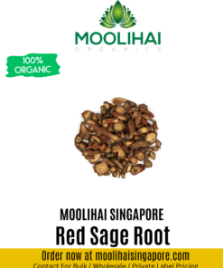 Red Sage Root / Bedmen kilangu