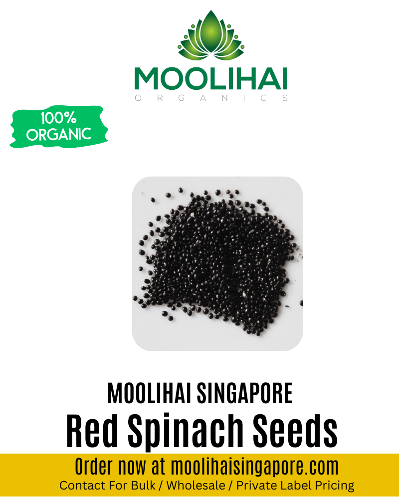 Organic Red Spinach / Amaranth Seeds