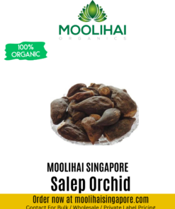 Salep Orchid/ Salamisri