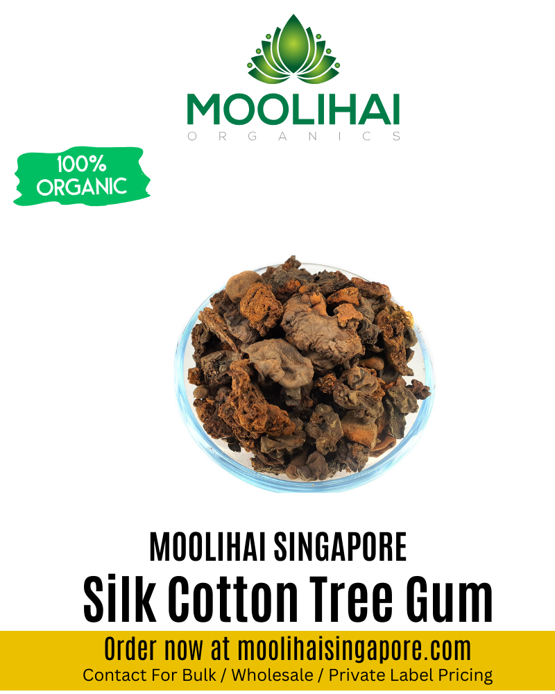 Silk Cotton Tree Gum / Mochras Gum