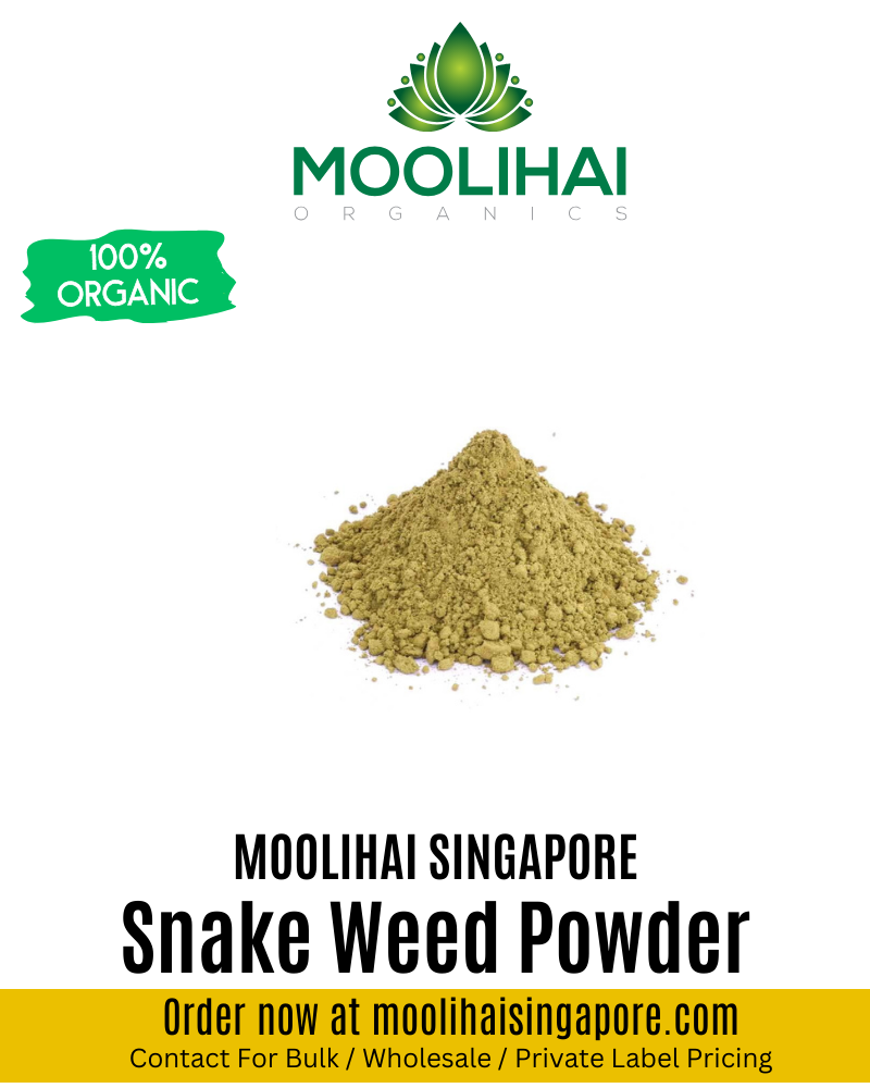 Snake Weed Powder / Amman Pacharisi