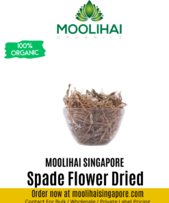 Spade Flower Dried / Orithal Thamarai