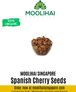 Spanish Cherry Seeds / Magizham Vithai
