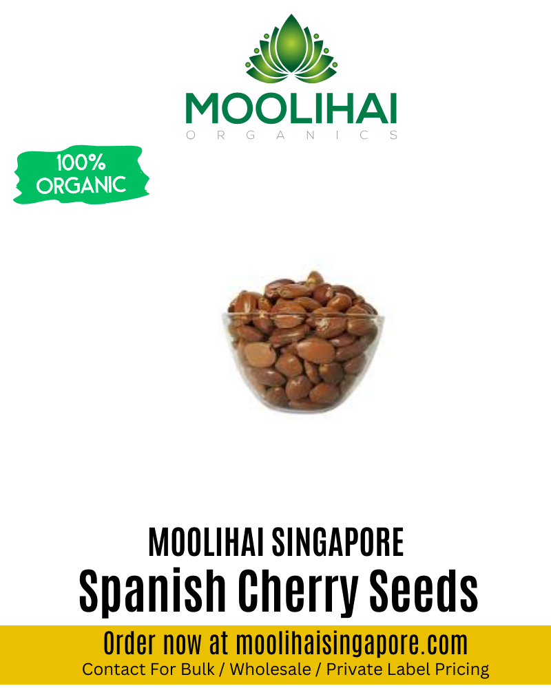 Spanish Cherry Seeds / Magizham Vithai