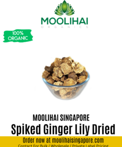 Spiked Ginger Lily Dried / Poolankilangu