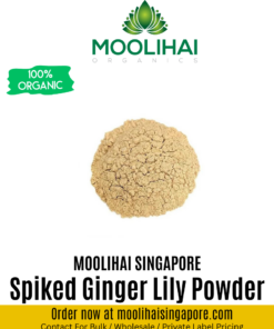 Spiked Ginger Lily Powder / Poolankilangu Podi