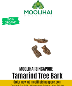 Tamarind Tree Bark / Puliyam Pattai