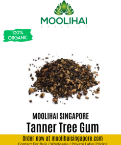 Tanner Tree Gum / Aavaram Pisin / Tarwar Phool