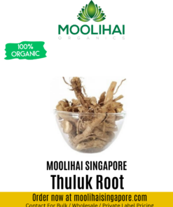 Thuluk Root / Wild Parsnip Root