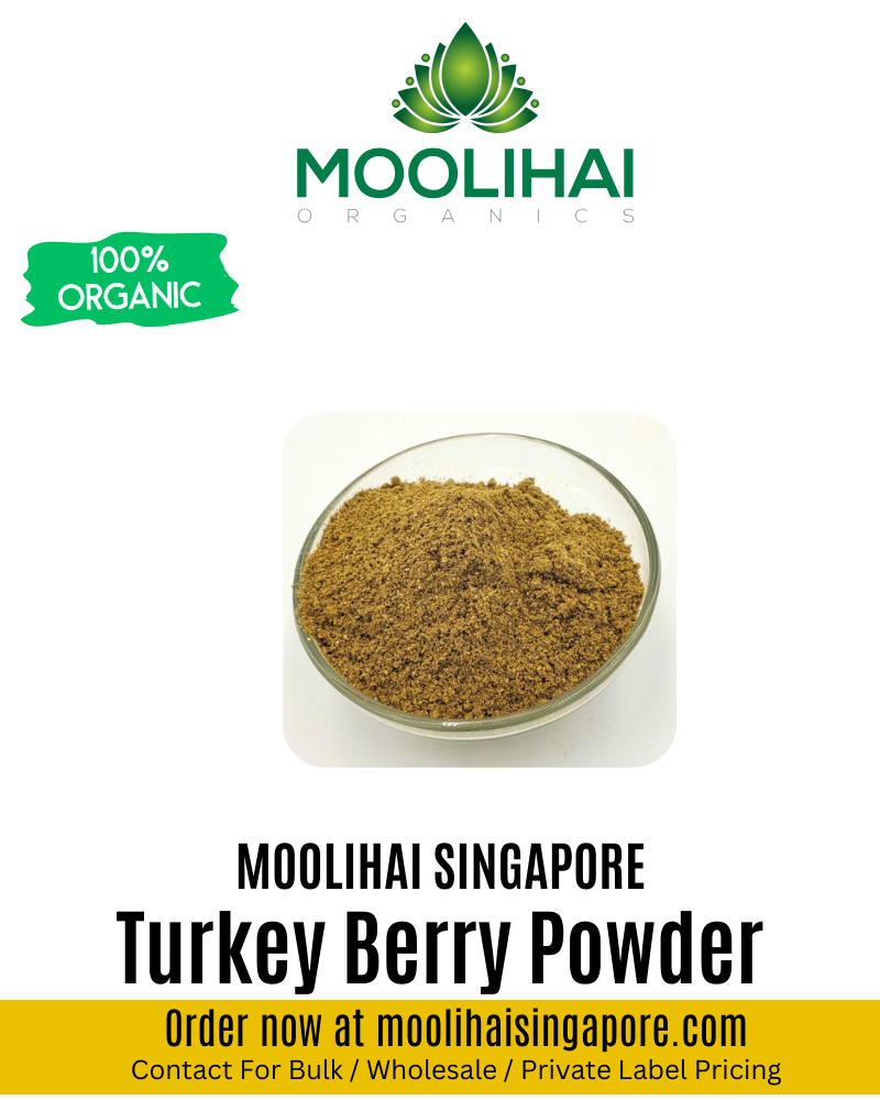 Sundaikkai / Turkey Berry Powder
