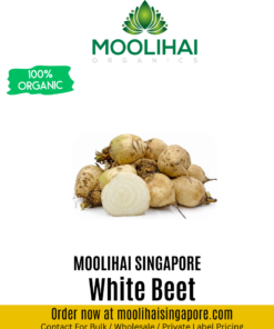 White Beet / Vellai Kizhangu