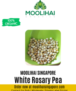 Abrus Precatorius White Seeds / White Rosary Pea